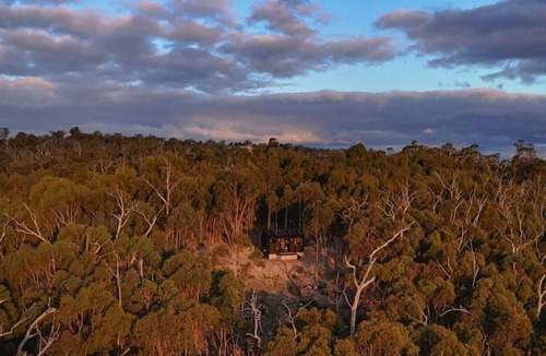 Reedy Creek House | Off-Grid Cabin Deep in Nature - Pet Friendly - Ava