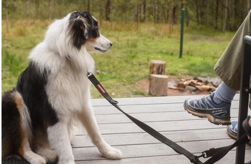 Main Creek House | Off-Grid Cabin Deep in Nature - Pet Friendly - Barney