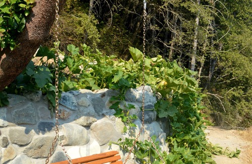 Gasquet Cabin | Off-Grid Half Moon @ Sustainable Ecovillage