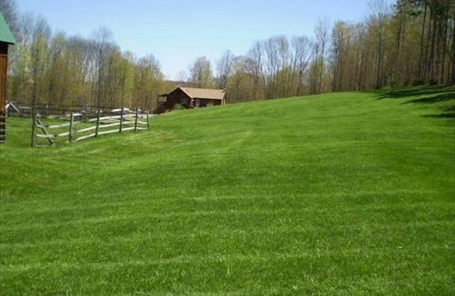 Middlebury Center Cabin | OFF THE BEATEN PATH BEAUTIFUL PRIVATE CABIN WIFI WELLSBORO ENJOY A SPRING VISITn