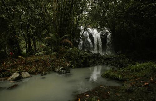 Selemadeg Resort | OFFTRACK - Health & Fitness Retreat in the Jungle