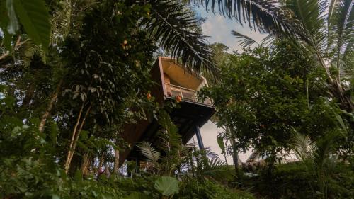 Selemadeg Resort | OFFTRACK Training Camp in the Jungle