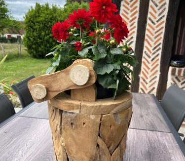 Chaumont-sur-Tharonne Bed & Breakfast | Oh ! Fleurs des champs