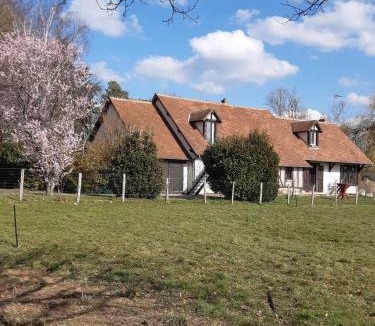 Chaumont-sur-Tharonne Bed & Breakfast | Oh ! Fleurs des champs