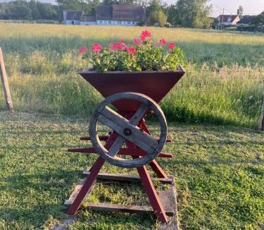 Chaumont-sur-Tharonne Bed & Breakfast | Oh ! Fleurs des champs