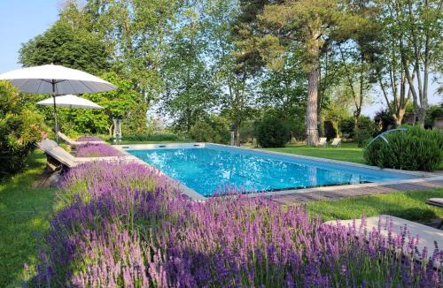 Almayrac Bed & Breakfast | Oh, le château!