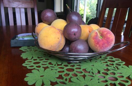 Tuai House | Ohuka Lodge