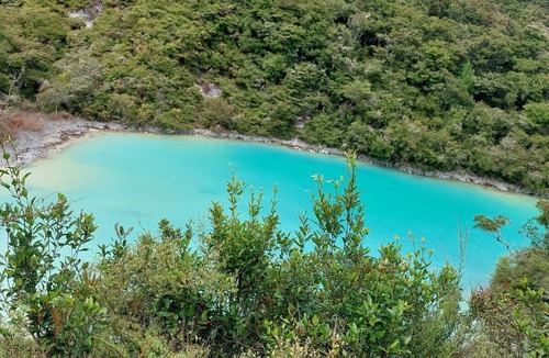 Rerewhakaaitu Cabin | Old Brett Rd Hut