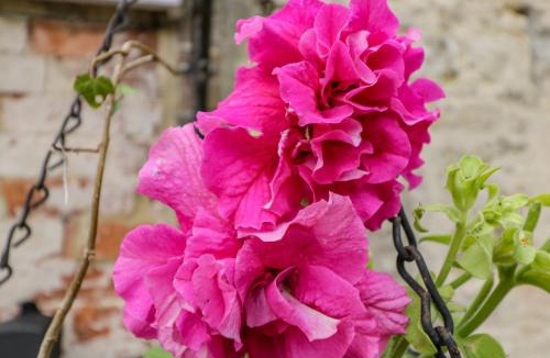Lyneham House | Old Cart Shed