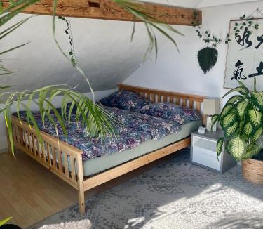 Sevelen Apartment | Old Farmhouse Loft near Vaduz