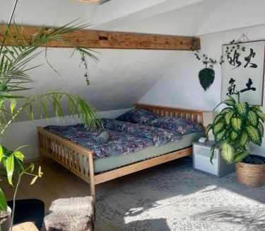 Sevelen Apartment | Old Farmhouse Loft near Vaduz
