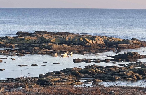 Listed House | Old Fishermans House at Listed Harbor