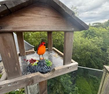 Eyemouth Cabin | Old Grain Mill