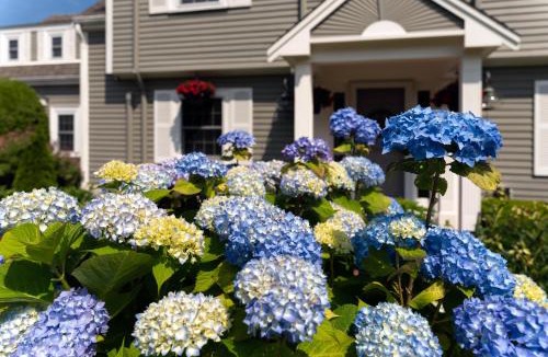 Chatham Bed & Breakfast | Old Harbor Inn