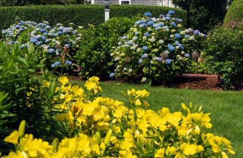 Chatham Bed & Breakfast | Old Harbor Inn