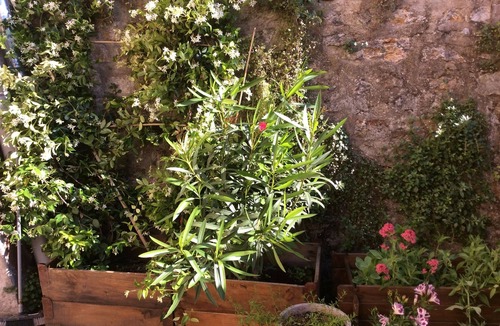 Old Lyon Apartment | Old Lyon: Charming & cozy flat with view