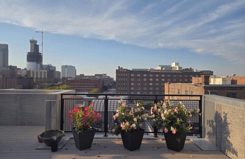 Dahlman Condo | Old Market Gem