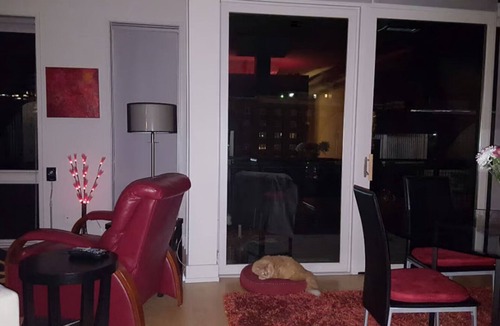 Dahlman Condo | Old Market Gem