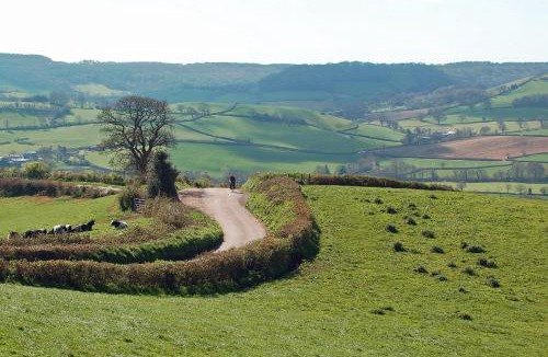 Colyton House | Old Orchard Cottage