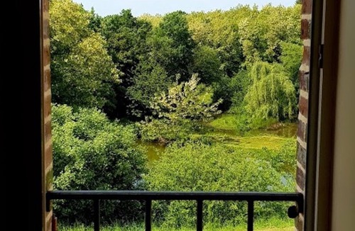 Villeneuve-sur-Yonne House | Old renovated tile in the forest