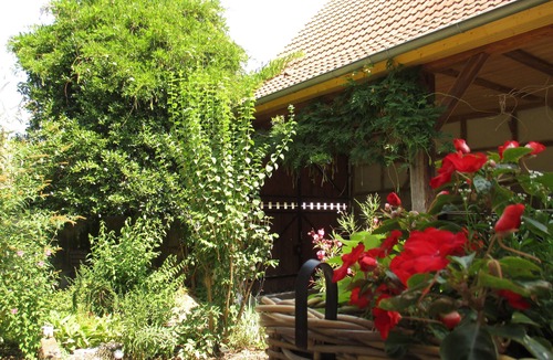 Epfig House | Old stable