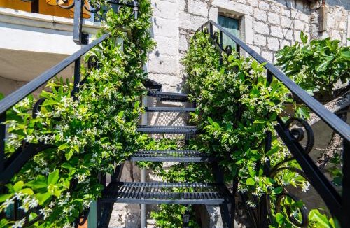 Drasnice Villa | Old stone house
