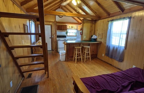 Helmsburg Cabin | "Ole Pete" Tiny Home Cabin #14 | Pet Friendly