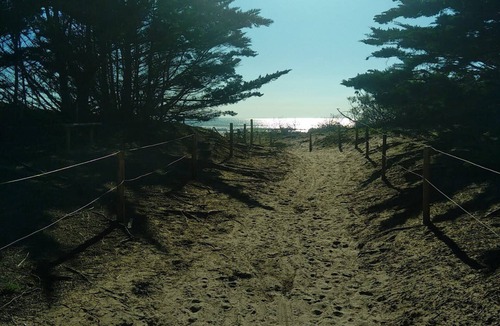 Le Grand-Village-Plage Apartment | Oléron: magnificent ocean and forest apartment