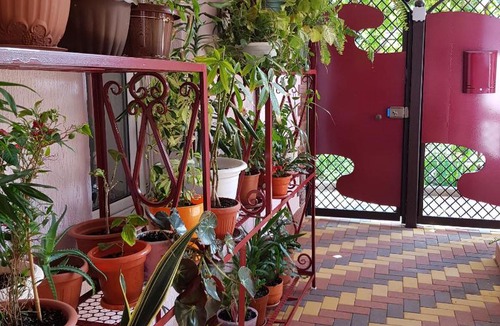 Anapa House | Olga Mini-hotel