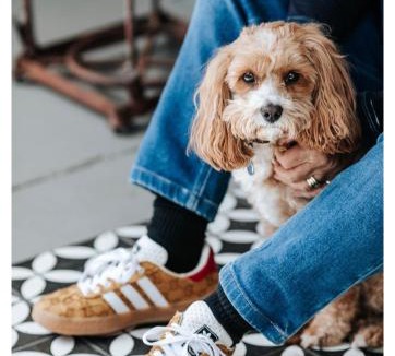 Bathurst House | Olive Cottage Rankin