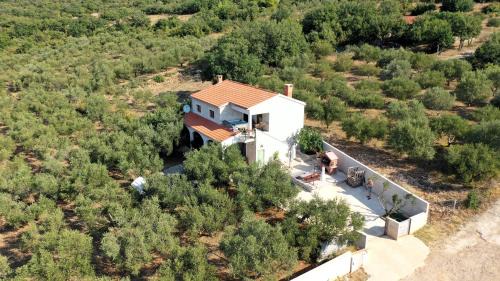 Posedarje Villa | Olive garden Platinum, Posedarje
