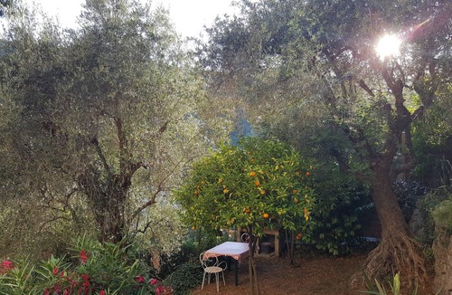 Le Bar-sur-Loup Apartment | Olive Grove Apartment with *Large Heated Pool*