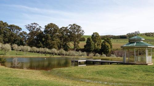 Musk House | Olive Grove