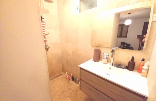 Pont-Saint-Esprit House | Olive trees