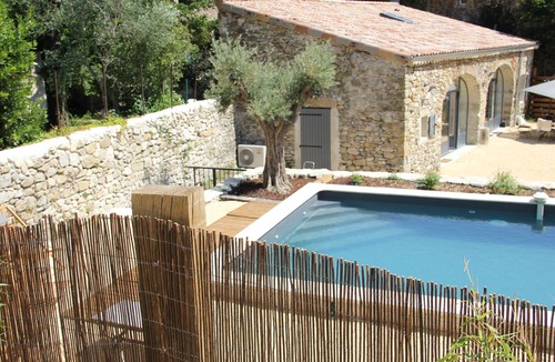 Saou House | Olive trees