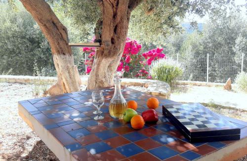 Aetos House | OliveTree House