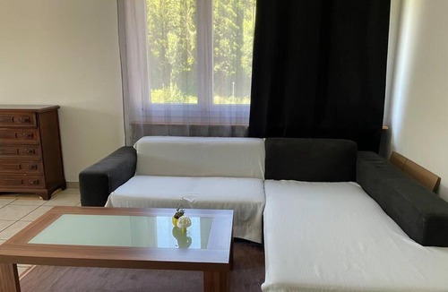 Trimbach Apartment | Olten with a View