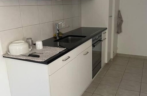 Trimbach Apartment | Olten with a View