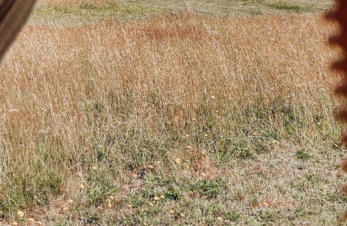 Port Angeles RV Rental | Olympic Glamping