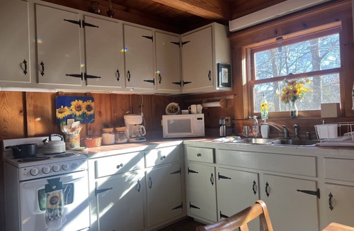 Houston Cabin | Oma's Cabin on Arkansas River - cozy remote cabin overlooking the Arkansas River