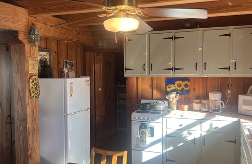 Houston Cabin | Oma's Cabin on Arkansas River - cozy remote cabin overlooking the Arkansas River