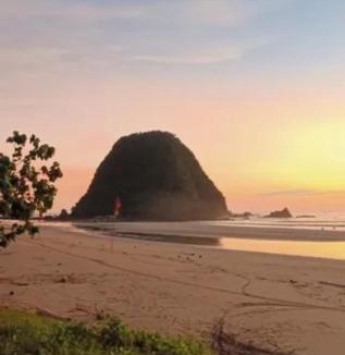 Sumberagung House | Omah Joglo Pulau Merah