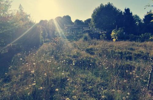 Saint-Maixent-l'Ecole Bed & Breakfast | Omnia