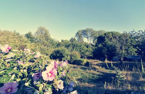 Saint-Maixent-l'Ecole Bed & Breakfast | Omnia