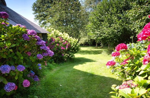 Perret House | On a 3h property, in the heart of the forest, the gites du lety await you.