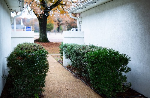 Mayhew House | On Golf Course | Peaceful | Central | Upscale