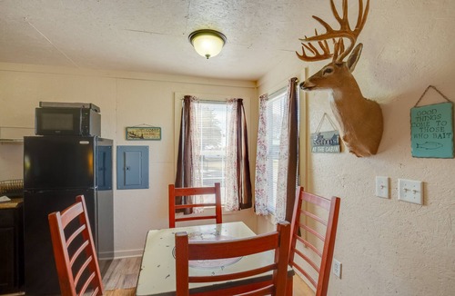 Cayuga Apartment | On-Site Boat Ramp: Pet-Friendly Kerens Studio!