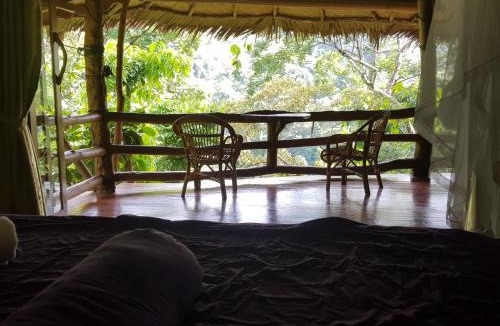 Bukit Lawang Cabin | On The Rocks Bungalows, Restaurant and Jungle Trekking Tours - From May to September only stay here if you are booking jungle treks with us - feel free to contact us about our Jungle Trekking services
