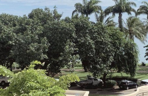 North Ward Apartment | On The Water Strand u28