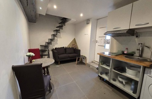 Le Fief-Sauvin House | One-bedroom studio